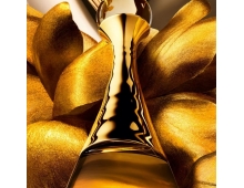 Christian Dior J'adore L`Or Essence Parfum