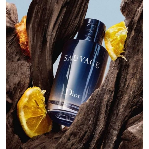  Christian Dior Sauvage 2015  6  в магазине Парфюм Питер 
