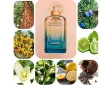 Hermes Un Jardin En Mediterranee