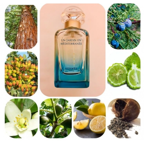  Hermes Un Jardin En Mediterranee  4  в магазине Парфюм Питер 