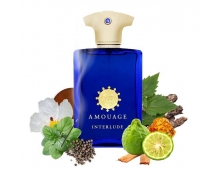 Amouage Interlude Man