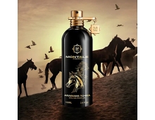 Montale Arabians Tonka