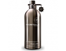 Montale Aoud Lime