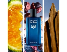 Davidoff Cool Water Street Fighter Champion Summer Edition