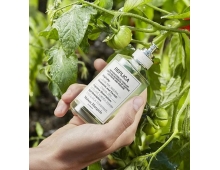 Maison Martin Margiela Replica From The Garden