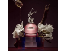 Jean Paul Gaultier Scandal by Night