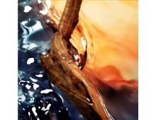 Davidoff Cool Water Reborn