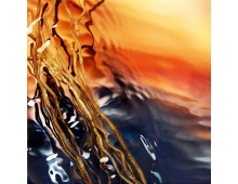 Davidoff Cool Water Reborn