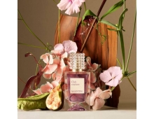 Valentino Club couture