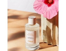 Chloe Atelier Hibiscus Abelmoschus