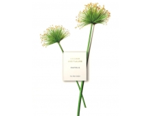 Chloe Atelier Des Fleurs Papyrus