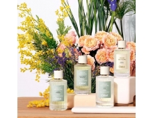 Chloe Atelier Des Fleurs Chene
