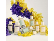 Chloe Atelier Des Fleurs Violette