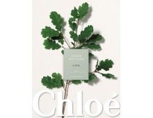 Chloe Atelier Des Fleurs Chene
