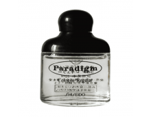 Shiseido Paradigm