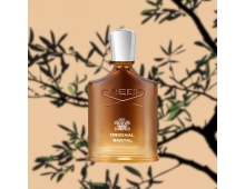 Creed Original Santal 2024