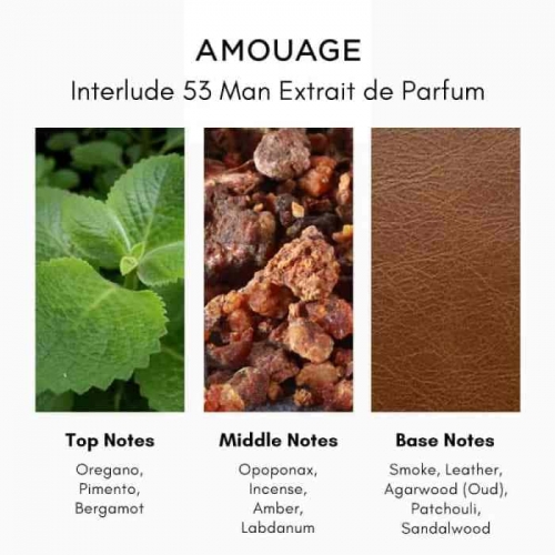  Amouage Interlude 53  5  в магазине Парфюм Питер 