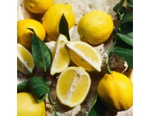 Dolce & Gabbana Light Blue pour Femme 2025