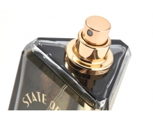 State Of Mind Secret Of Success