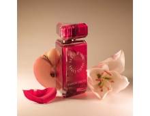 State Of Mind Secret Of Success