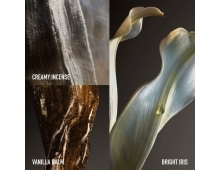 Paco Rabanne Fame The Couture Edition 2024