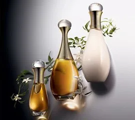 mlminternetbiz.ru