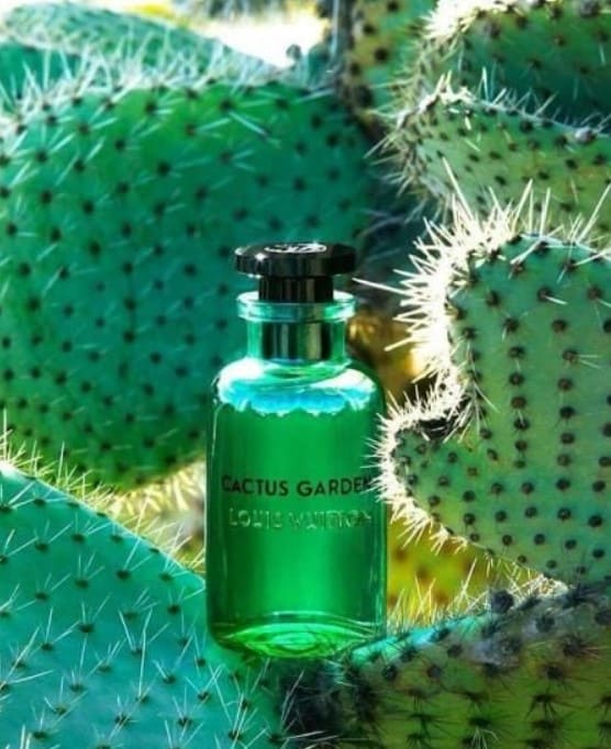 Louis Vuitton Cactus Garden – Купить духи в Санкт-Петербурге, цены