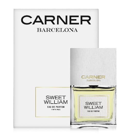 Изображение -  Carner Barcelona Sweet William 