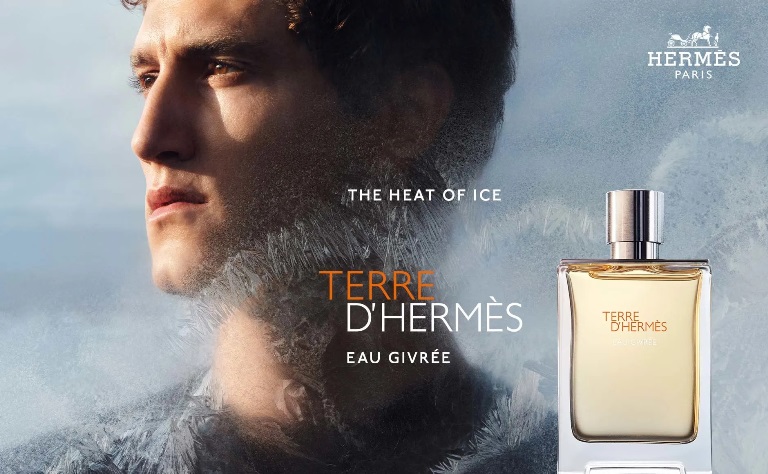 Hermes Terre D'Hermes Eau Givree - купить оригинальный парфюм в