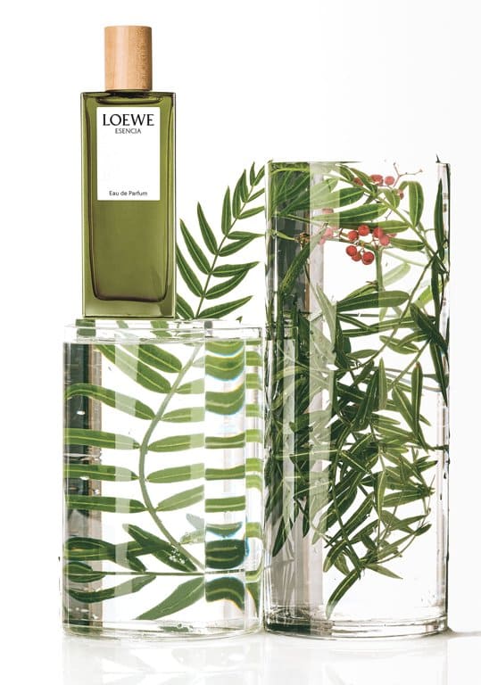 LOEWE ESENCIA Eau de Parfum 専用ボックス付き Loewe Esencia pour Homme - купить оригинальный парфюм в Москве